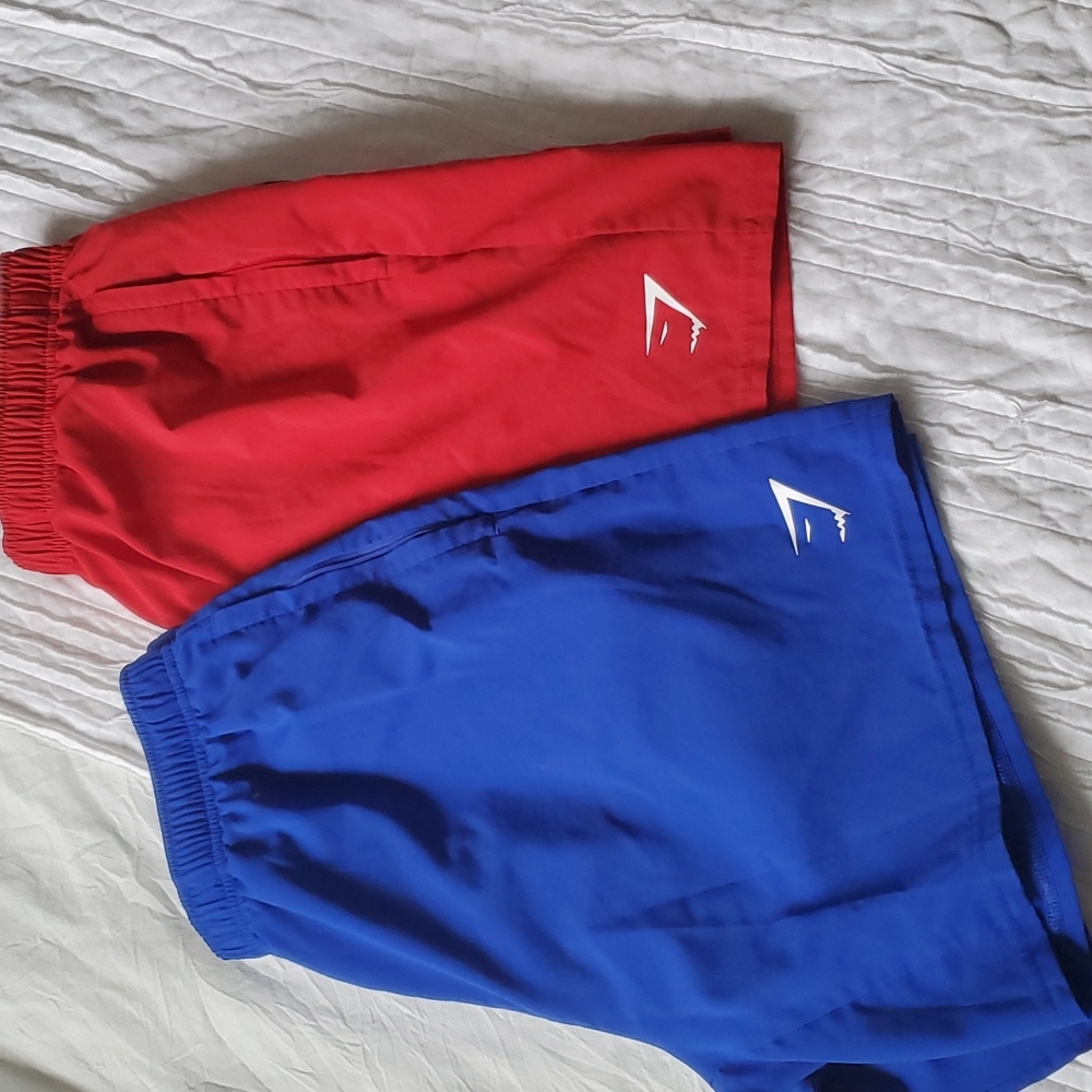 Mens gym shorts